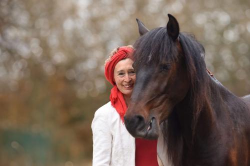 Männliche Führungsstärke - Einzelcoaching 1:1 im Horse Dialogue*