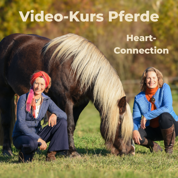 Pferdekurs Heart-Connection