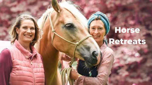 - Mit Pferden zu innerer Klarheit und weiblicher Kraft